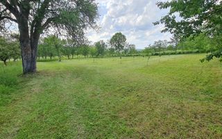 Teren intravilan în Vălenii Șomcutei, în suprafață de 1.700 mp - Poză 2