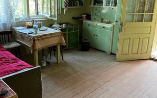 Vand casa la tara - Poză 3