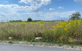 Teren industrial, POT 50%,  acces TIR,  1000 mp, asfalt, COMISION 0 - Poză 4