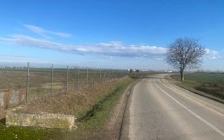 Teren lângă Paleu/Tarian - Poză 2