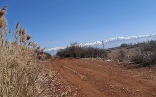 Teren Extravilan I 3400mp I Intabulat I Zona Dealul Daii - Poză 2