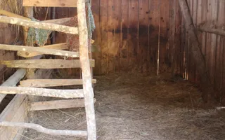 Poiana Sohodol I 5600 MP I Trei corpuri cladiri I Utilitati - Poză 34