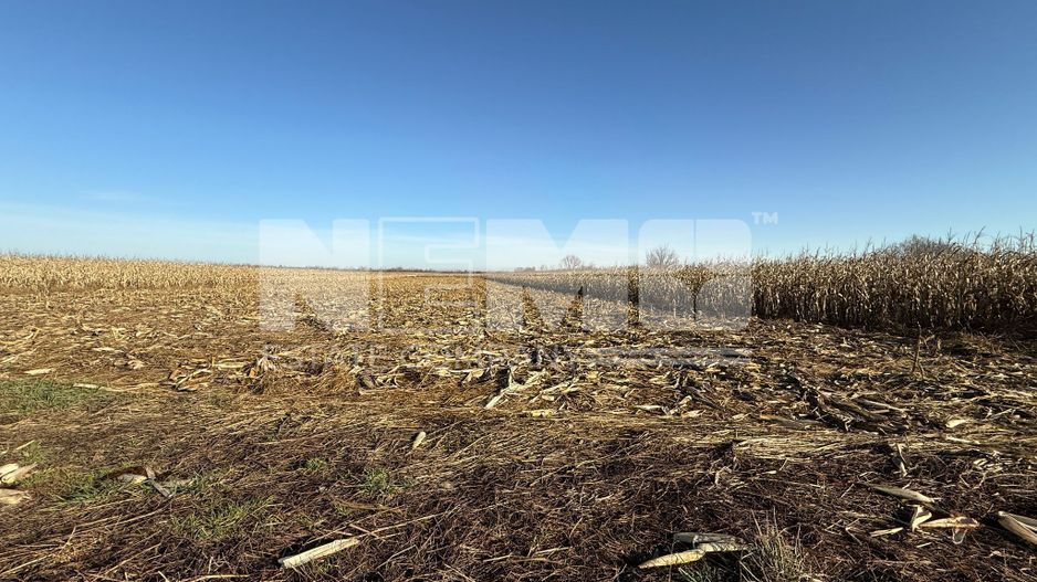 TEREN EXTRAVILAN  51 ARI |  HORODNIC DE JOS  | - Poză 4