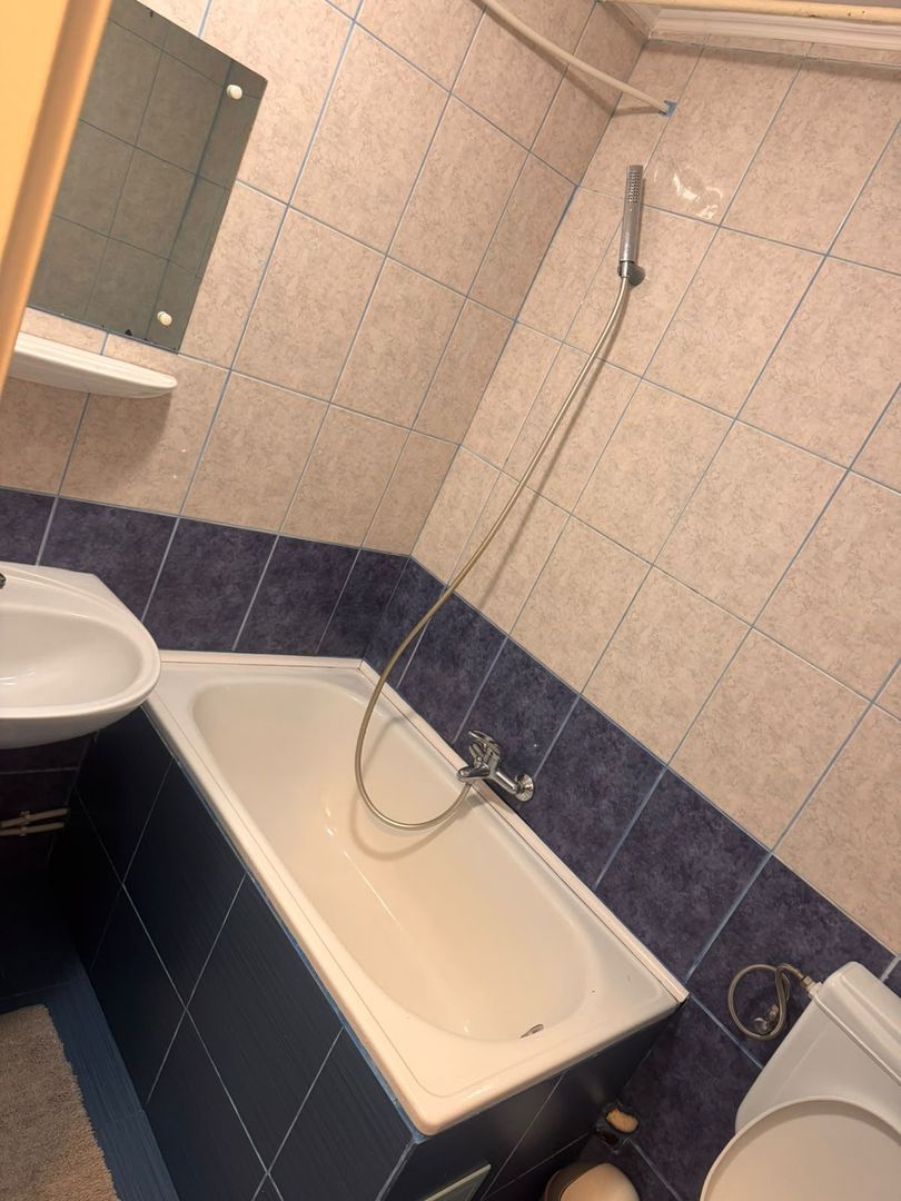 Apaetament cu o cameră 29 mp Rogerius - Poză 7