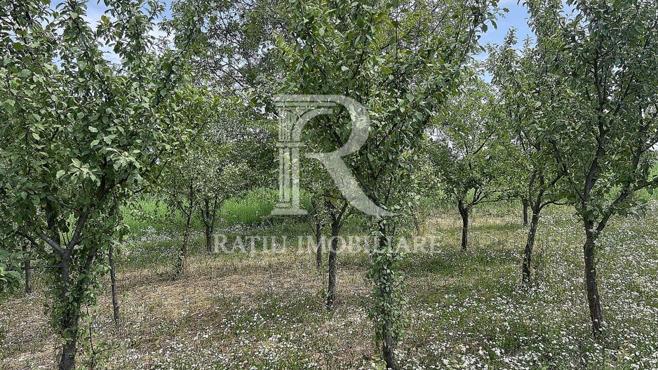 Casa de vacanta | Târgușor | Bihor - Poză 23