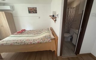 Pensiune cocheta de vanzare- Dubova-pe malul Dunării - Poză 11