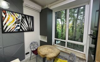 Chirie, apartament, 1 cameră, str. Nicolae Dimo, Râșcani - Poză 3