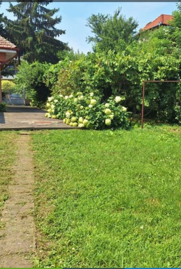 Casa individuala cu teren generos - Poză 4