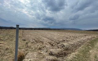 TEREN EXTRAVILAN | 23 ARI | HORODNIC DE SUS - Poză 10