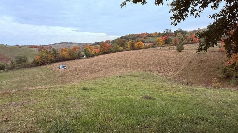 Teren intravilan 17,265 mp in Tomnatic comuna Vadu Crisului - Poză 1