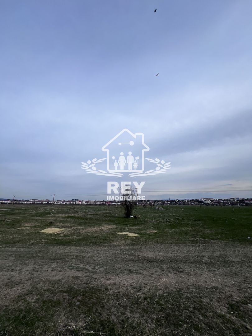 Teren Arabil Turnișor - Spre ferma de pui - Poză 5