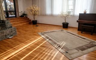 Vilă de închiriat | Suceava – Zamca | 450 mp | Ideal firmă / birouri - Poză 5