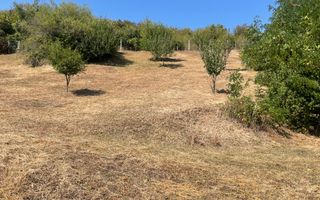 Teren intravilan 2700mp-ideal case-panoramic-Viisoara-Exclusivitate - Poză 3