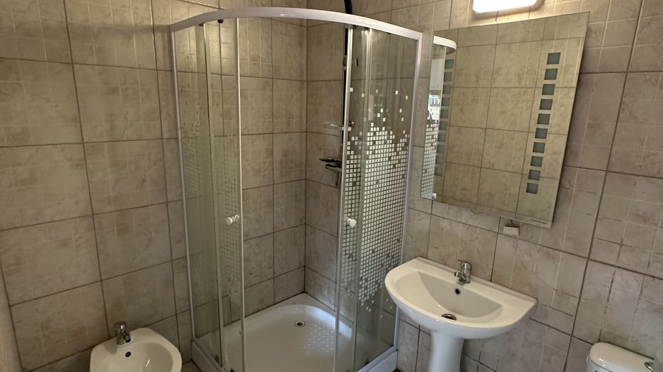 Proprietate cu piscina Dumbravita - Poză 39