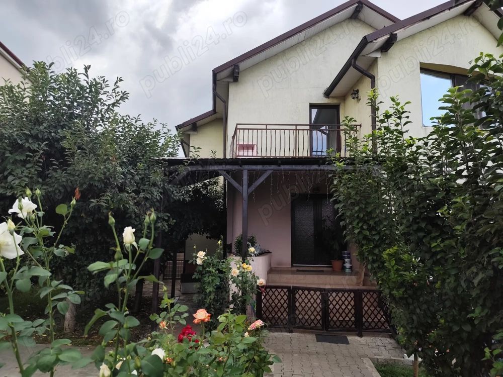 Zonă deosebită, oportunitate de investiție casă individuala in Gruia - Poză 4