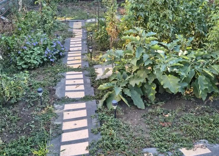 CASA IN POPESTI LEORDENI, RENOVATA, CURTE, MOBILAT-UTILATA - Poză 8