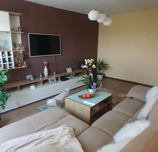 Apartament cu 3 camere Torontalului - Poză 2