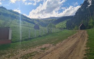 Vila P+E+Pod in Codlea zona cu aer curat,teren 1050 mp - Poză 15