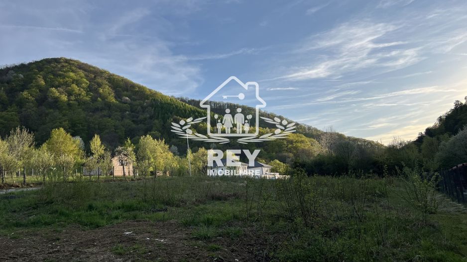 Teren 1250  mp de vânzare în Cisnădioara foarte aproape de asfalt/PUZ - Poză 1