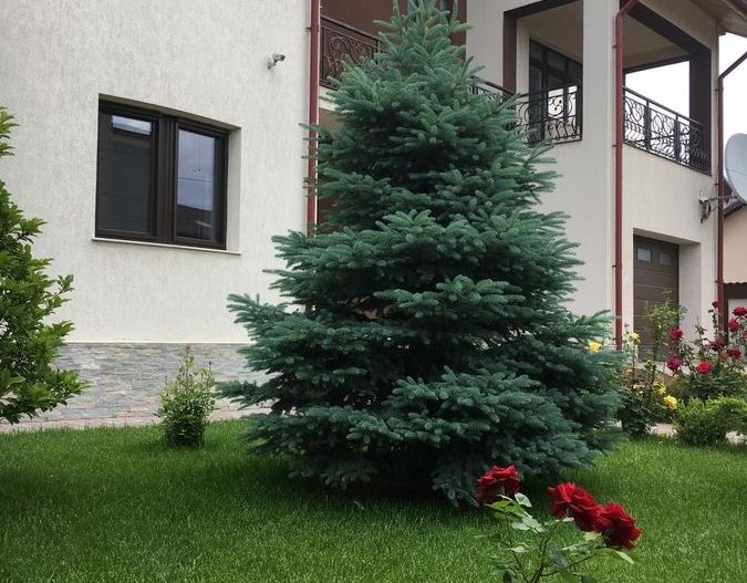 Bragadiru, vila individuala , 8 camere, piscina exterioara - Poză 5