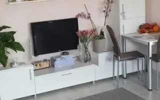 Apartament 3 cam zona Aradului mansarda. - Poză 3