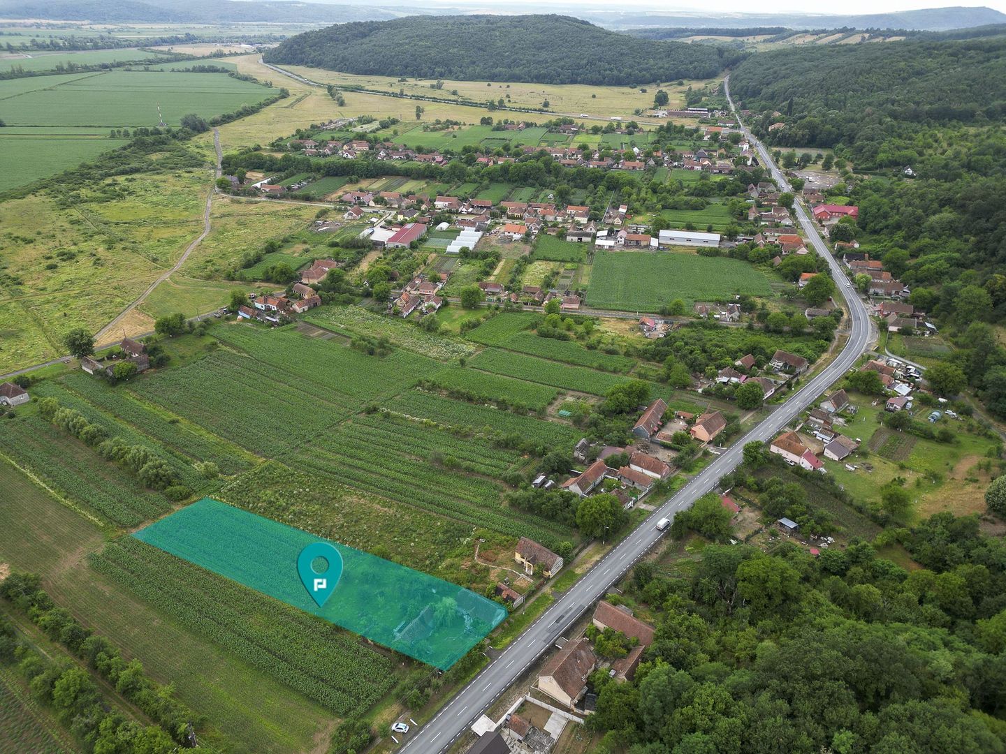 Casă tradiţională cu anexe în ODVOŞ, comuna Conop. - Poză 8