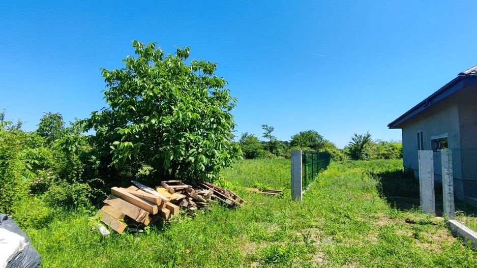 Lot pentru două case – Corbeanca Tamași - Poză 6