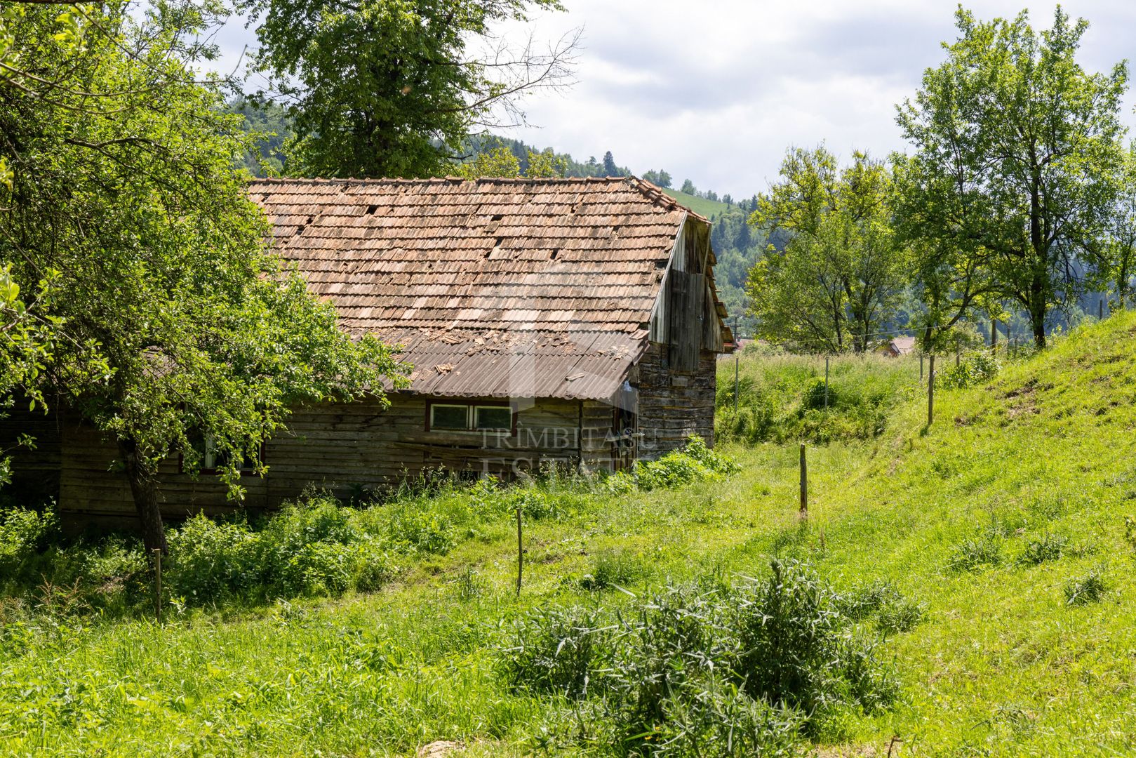Moieciu de Jos |Teren 11.381 mp | Panoramă, potențial turistic - Poză 7