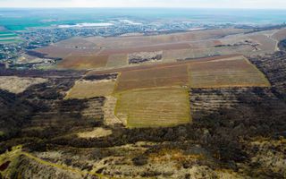 Teren pe deal în Miniș - Poză 4