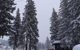 Vilă complet utilată | 6 dormitoare | lângă pârtia Arena Păltiniș - Poză 18