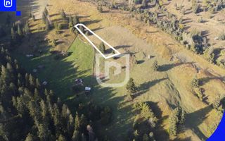 Teren situat in Frasin | BUCOVINA - Poză 6