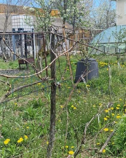 Vanzare casa P+1, anexe, curte, sat Verseni, comuna Miroslovesti, la asfalt - Poză 7