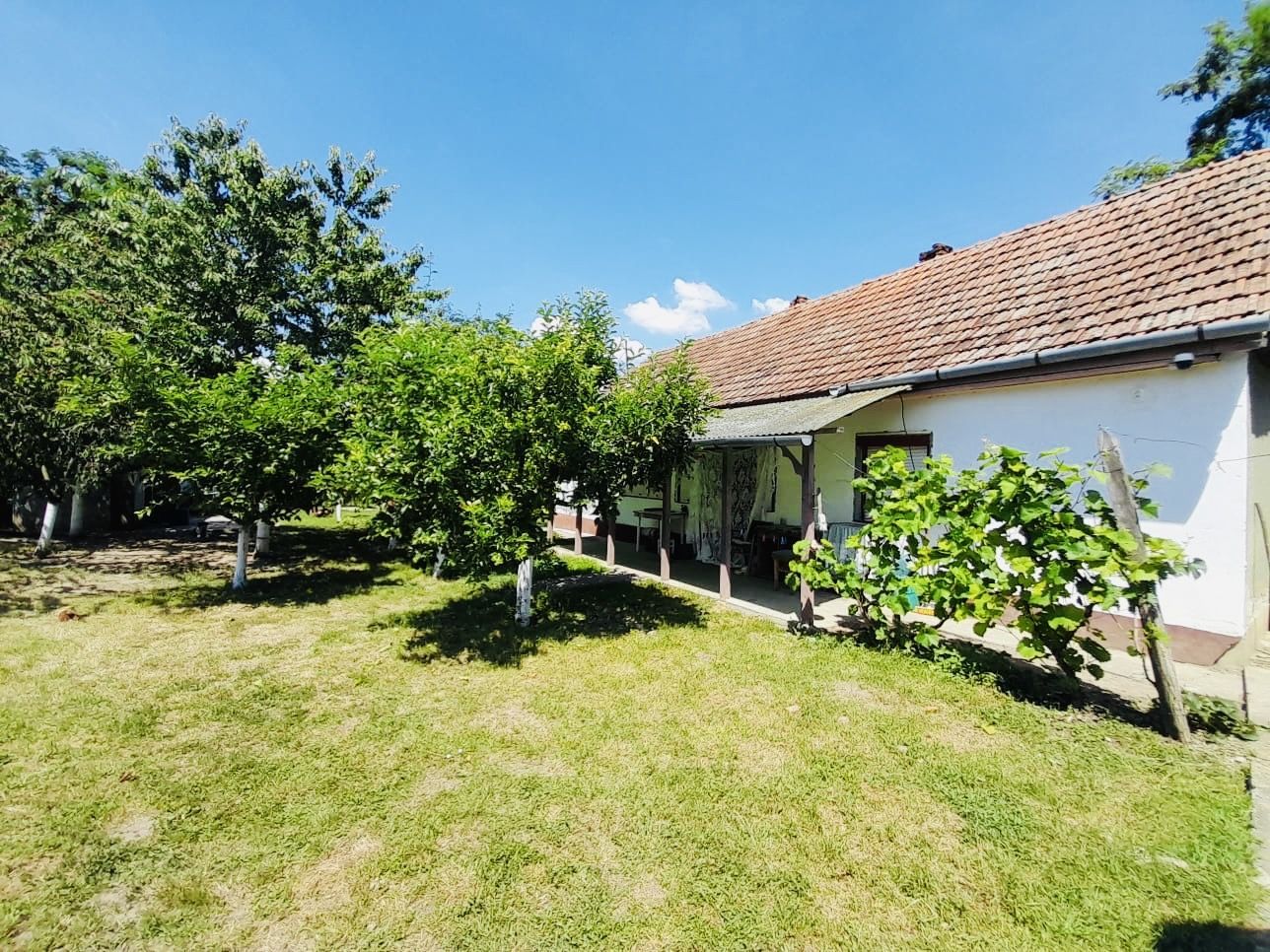 Casă + 2870 mp teren – oportunitate Ciocaia - Poză 4