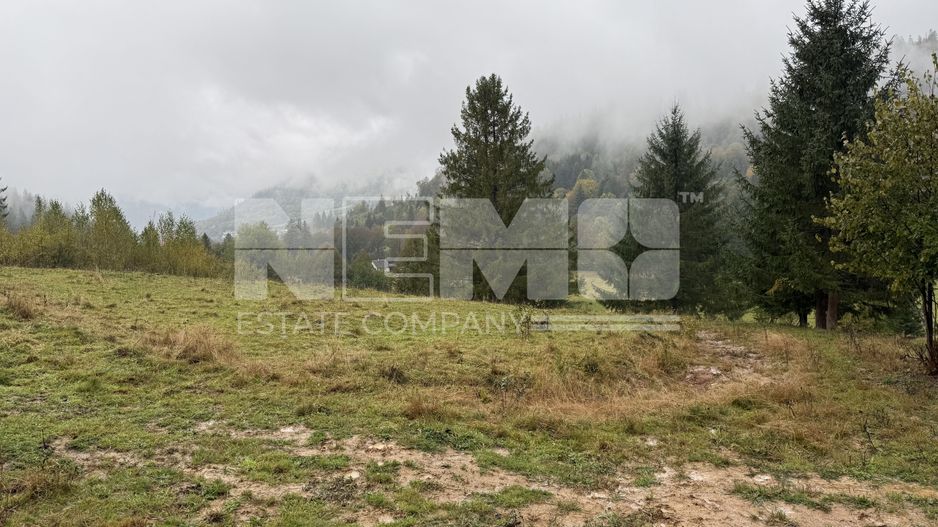 Teren Extravilan | 6.100 mp | Brodina | 41.500 € negociabil - Poză 7