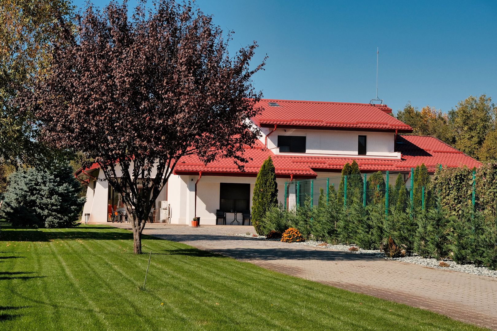 Vila tip Ranch langa Padure - Poză 4