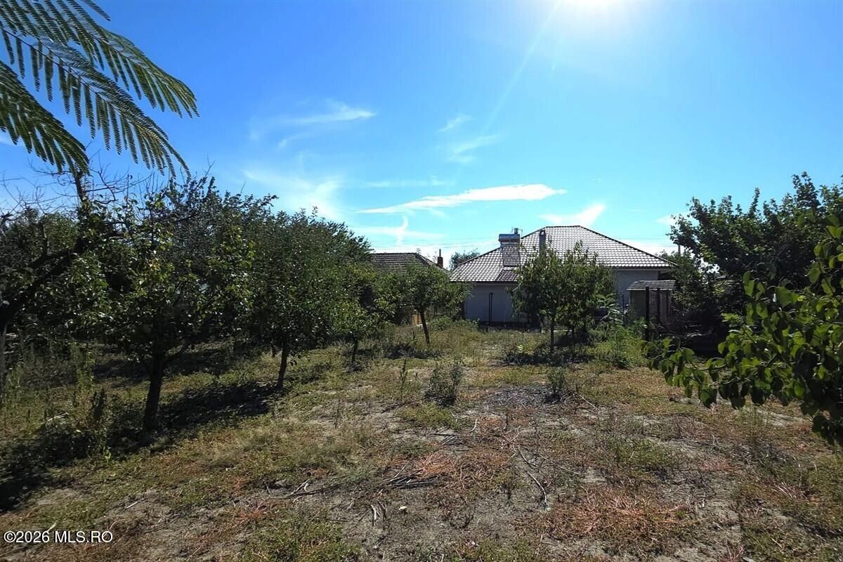 Castelu - Str. Florilor, casa din 2012, teren 737 mp si 106 mp utili - Poză 8
