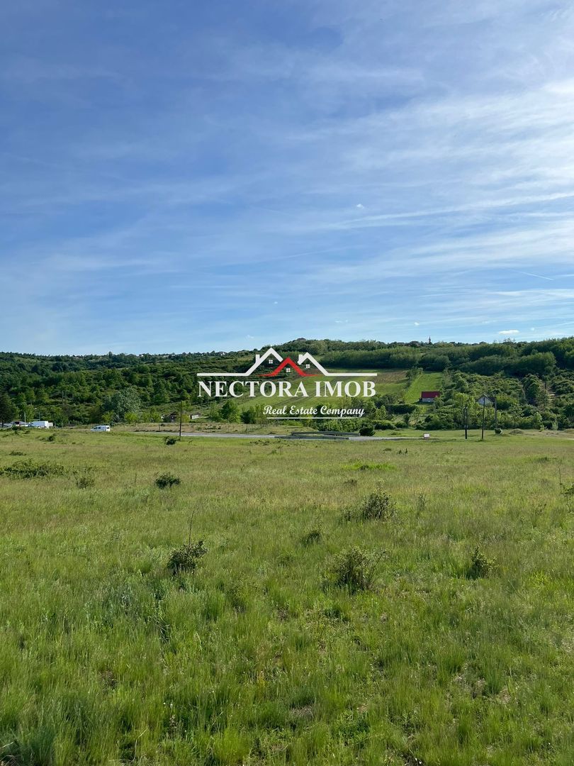 NECTORA IMOB-Teren Intravilan Baile Felix-Usa Oil, 8603 mp, Iesire DN - Poză 3