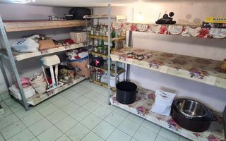 Casa pentru 2 familii, 7 Camere, 2 Garaje, 1500MP Teren - Poză 29