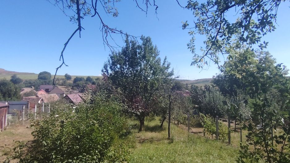 De vânzare casă cu 5 camere, Agnita, str. Horea - Poză 6