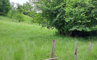 TEREN INTRAVILAN 2500 MP, BUGHEA DE JOS - Poză 2