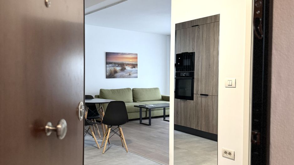 Apartament cu 2 camere, primitor, pet friendly, Mureș-Profi Dumbrăvița - Poză 15