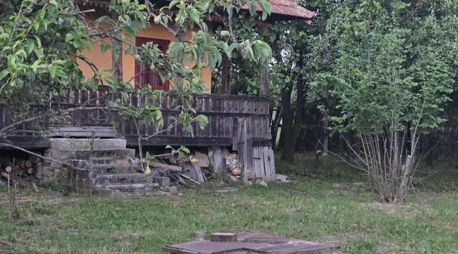 Casă cu 7.769 mp teren și pădure | Budieni | 53.000€ - Poză 6