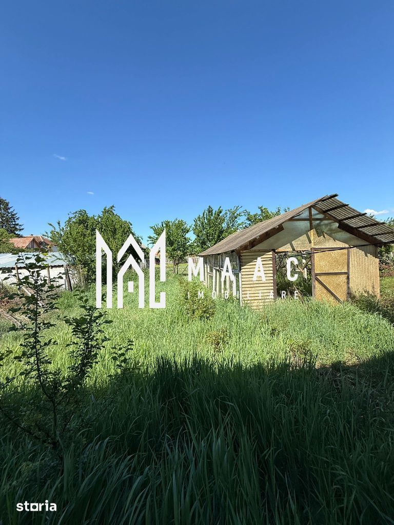 Casa 5 Camere | Teren 1.700 MP | Șura Mică - Poză 19