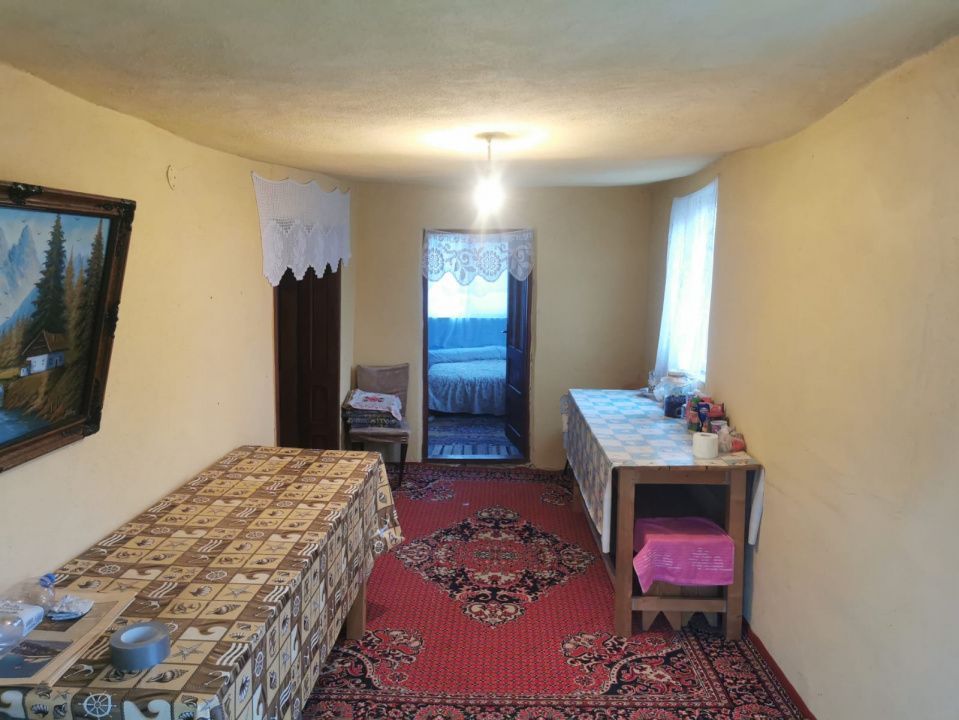 De vanzare casa in Argetoaia cu teren 7.000 mp - Poză 7
