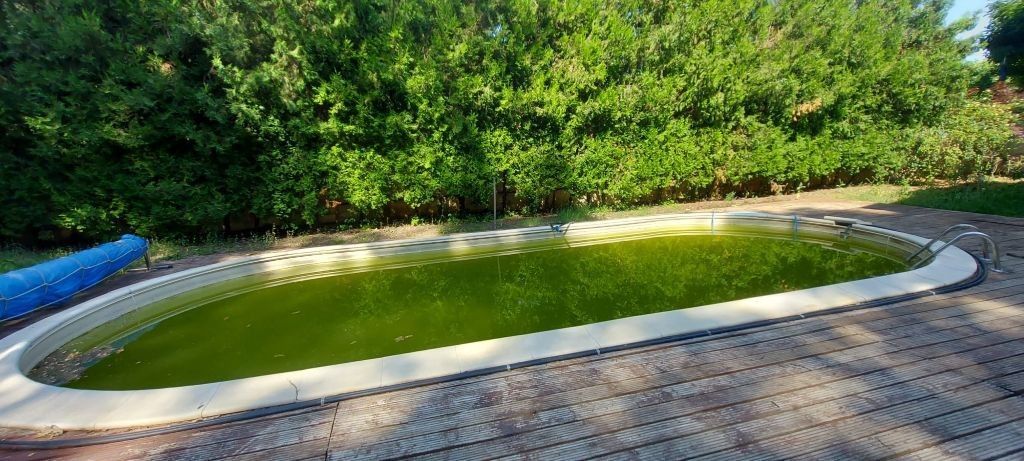 Vanzare - Vila individuala | 5 camere | Piscina | Padure | Corbeanca - Poză 11