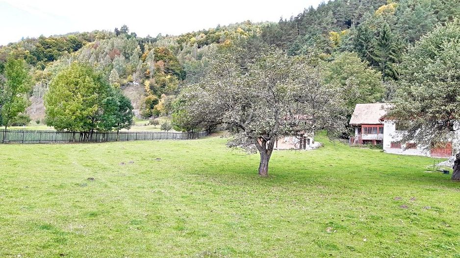 Teren superb de 16240mp, parcelabil, in Bran la intrare in Moeciu de Jos - Poză 12