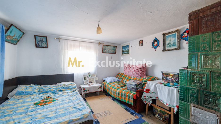 CASA SI GOSPODARIE DE VANZARE – SPINENI, OLT | 4.000 MP TEREN - Poză 11