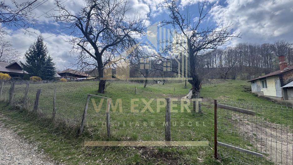 TEREN INTRAVILAN 4365 MP POENARII DE MUȘCEL  JUDEȚUL ARGES - Poză 19