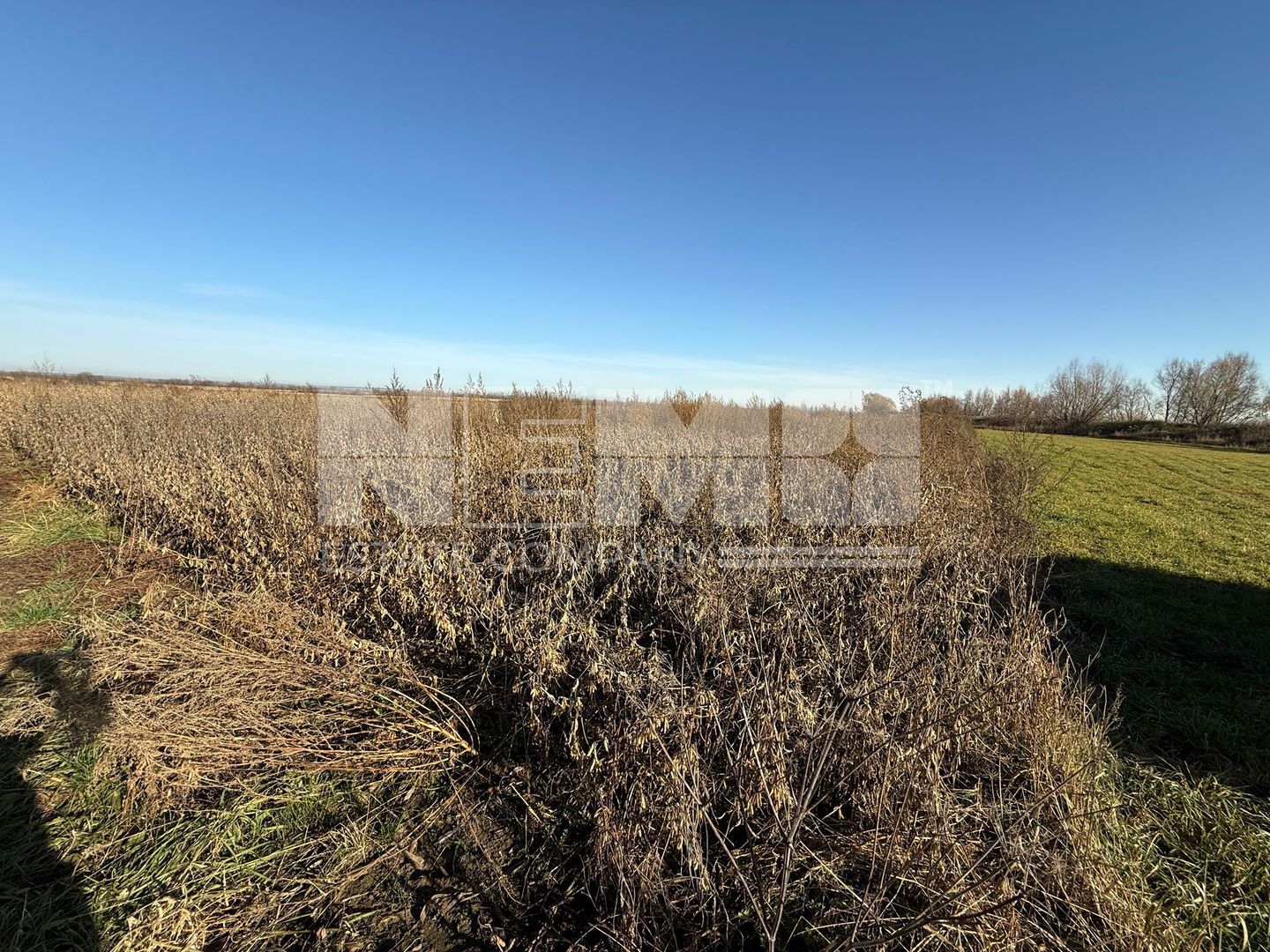 TEREN EXTRAVILAN | 35 ARI | HORODNIC DE JOS | - Poză 8