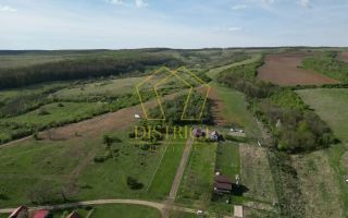 Casa de vacanta cu teren si padure de 3.8ha | Nadas | Herneacova - Poză 4